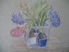 bosje-hyacint